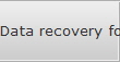 Data recovery for North Little Rock data